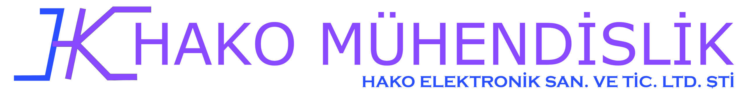 Hako Elektronik l INFICON Özel Teknik Servis